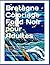 Bretagne · Coloriage Fond Noir pour Adultes: 40 Paysages à Colorier · Phares, Côtes Sauvages, Mégalithes, Villages · Style Gravure · Feutres et ... (France en lumière noire) (French Edition)