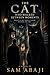THE CAT WHO WALKED BETWEEN MOMENTS: A Metaphysical Mystery Novel