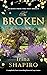 The Broken by Irina Shapiro