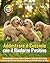 ADDESTRARE IL CUCCIOLO CON IL RINFORZO POSITIVO by Susan Swanson