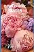 How to grow Aster flowers for beginners: The Ultimate Beginner’s Guide to Growing, Caring for, and Harvesting Asters at Home and garden