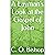 A Layman's Look at the Gospel of John