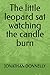 The little leopard sat watching the candle burn