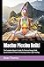 Machu Picchu Reiki: The Complete Master’s Guide To The Inca Energy Field, Sacred Stones of Power & Unlocking Andean Light Healing