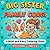 Big Sister and the Family Corgi: A Cute and Relaxing Dog Activity Gift For Kids Ages 3-8 To Welcome A New Puppy And Build Empathy (Bold and Easy Big Sister Collection)