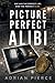 Picture Perfect Alibi: A Domestic Psychological Thriller with a Shocking Twist and Hidden Secrets (The Fractured Mind Thrillers)