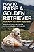 How to Raise a Golden Retriever From Puppy to a Happy Adult Dog: Lessons from 16 Years with a Golden Retriever: Positive Training, Understanding the Breed, and Building a Lifelong Bond