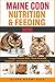 Maine Coon Nutrition & Feeding Guide: Large-Frame Diet, Slow Growth Support, and Balanced Daily Feeding