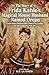 The Story of Frida Kahlo's Magical Mouse Husband Named Orejas : A Frida Kahlo Children's Story About Love, Courage and Conquering Pain (Great Artists And Their Most Loyal Supporters)