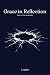 Grace in Reflection (The Ice Beneath, #1)