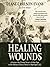 Healing Wounds: A Vietnam W...