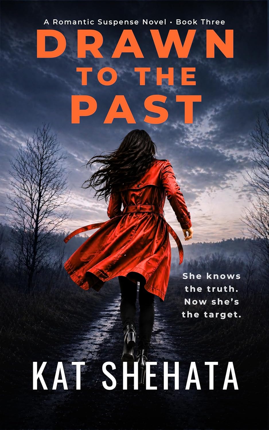 Drawn to the Past (Evelyn Sinclair #3)