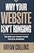 Why Your Website Isn't Ring...