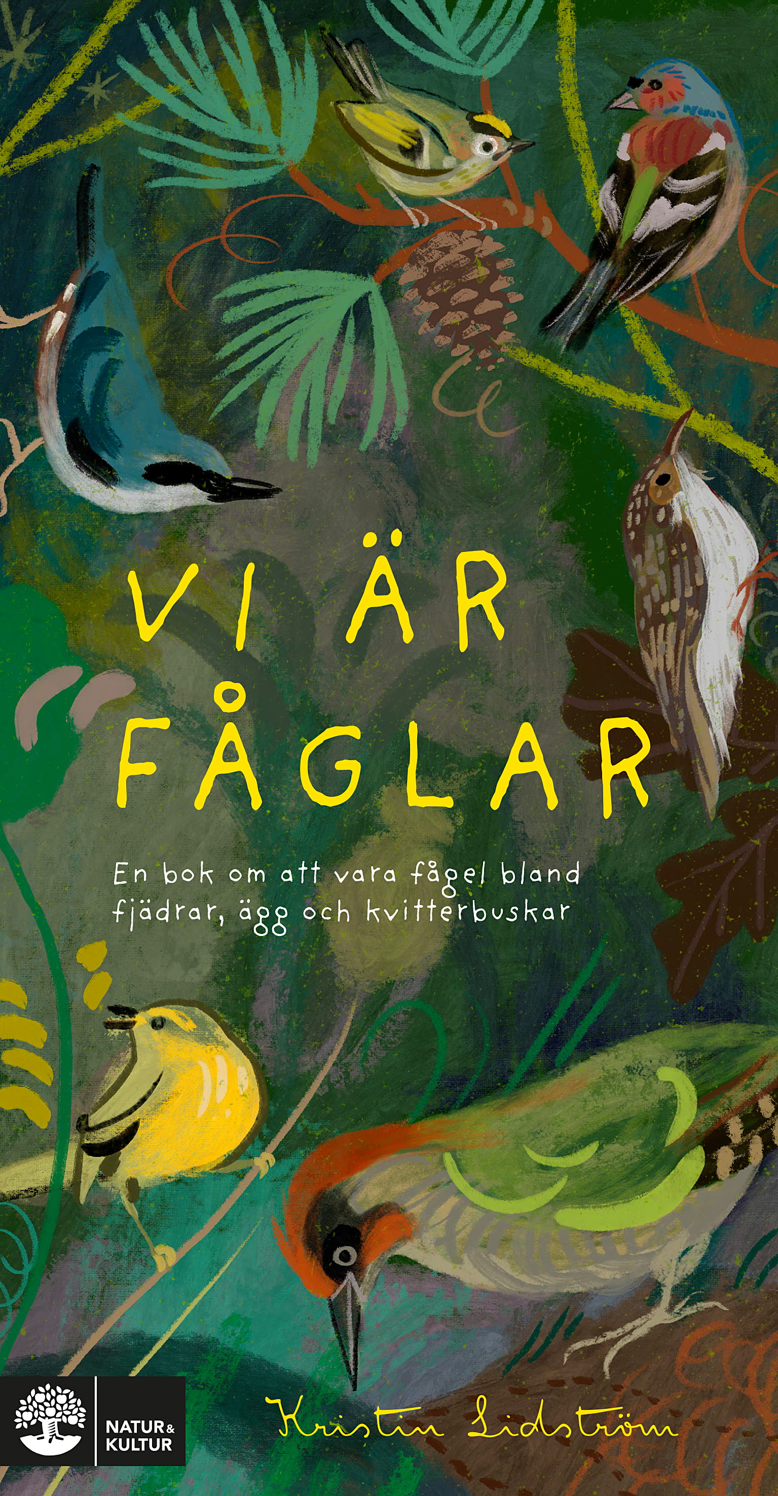 Vi är fåglar: en bok om att vara fågel bland fjädrar, ägg och kvitterbuskar (Se naturen!)