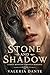 Stone And Shadow: A Spicy M...