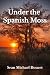 Under the Spanish Moss by Sean Doucet