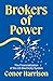 Brokers of Power: The Financialization of the US Electricity System