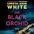 The Black Orchid