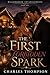 The First Forbidden Spark: ...