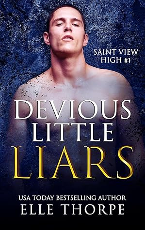 Devious Little Liars (Saint View High, #1)