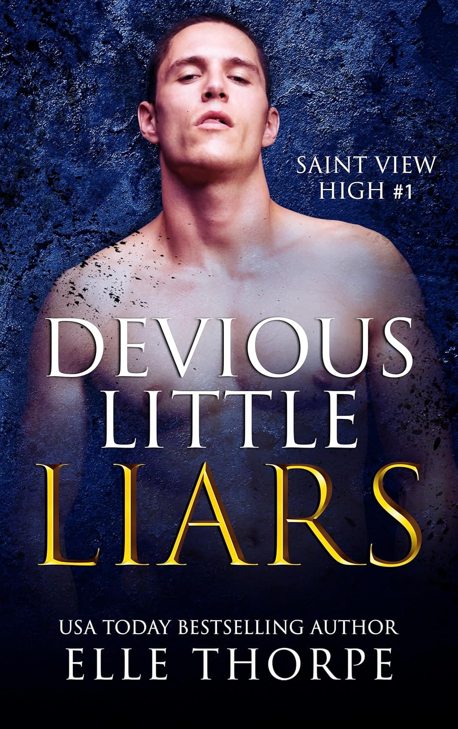 Devious Little Liars (Saint View High, #1)