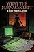 What the Furnaces Left: A B...