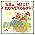 What Makes a Flower Grow? (Usborne Starting Point Science)