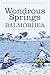 The Wonderous Springs of Balmorhea by Gretchen McCullough