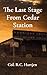 The Last Stage From Cedar Station by Col. R.C. Hartjen The Last Stage From Cedar Station by Col. R.C. Hartjen