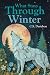 What Stays Through Winter