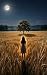 The shadow of the apple tree