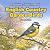 English Garden Birds: A Rel...