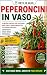 Peperoncini in vaso by Roberto Beozzo