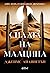 Силата на малцина by James Islington