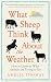 What Sheep Think About the Weather by Amelia Thomas