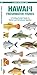 Hawai'i Freshwater Fishes: A Folding Pocket Guide to Native and Introduced Species (Nature Observation North America)