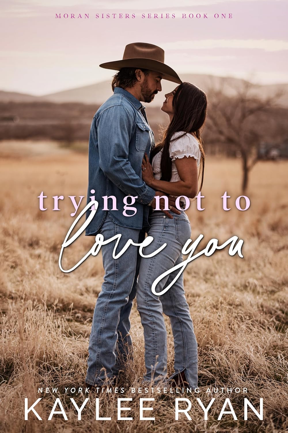 Trying Not to Love You (Moran Sisters #1)