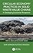 Circular Economy Practices in Solid Waste Value Chains: A Developing Economies Perspective (Africa Circular Economy Series)