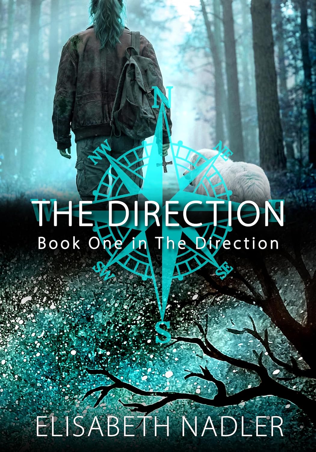 The Direction (The Direction #1)