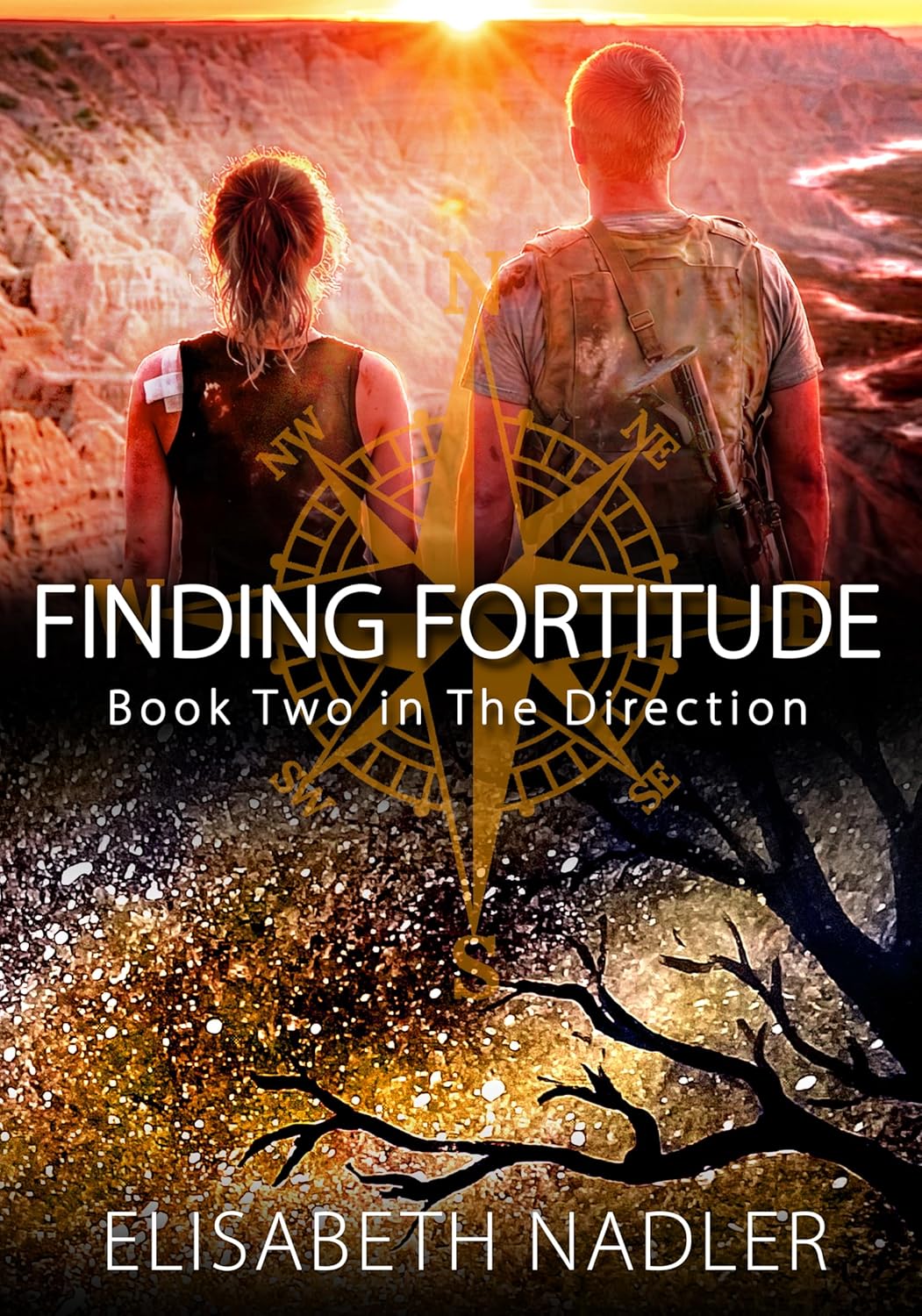 Finding Fortitude (The Direction #2)