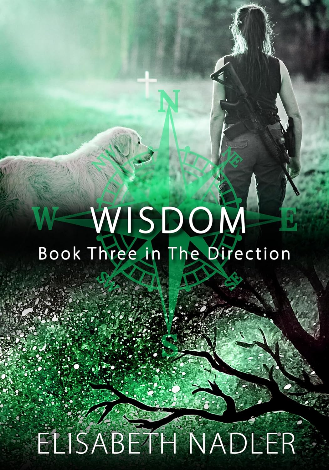Wisdom (The Direction #3)