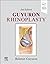 Guyuron Rhinoplasty