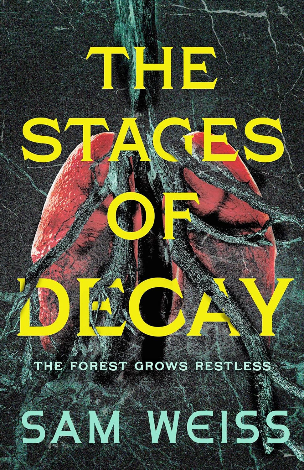 The Stages of Decay (The Afterlife Experiment)