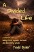 A Divided Life by Todd Boler A Divided Life by Todd Boler