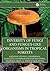 Diversity of Fungi and Fungus-Like Organisms in Tropical Forests