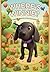 Where's Winnie? A Canine Search and Find Adventure: A Hidden Object Activity Book for Kids Ages 2-5: Fun Scenes Featuring Winnie the Pup