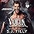Volik: Bonded Souls, Book One