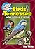 The Kids' Guide to Birds of Tennessee: Fun Facts, Activities, and 87 Cool Birds (Birding Children's Books)
