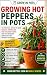 Hot Peppers in Pots by Roberto Beozzo