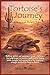 Tortoise's Journey: A Sonor...